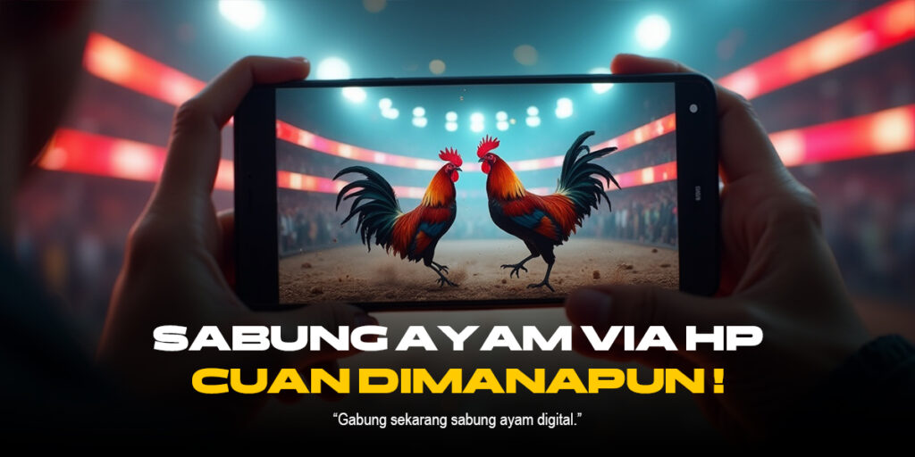 Membedah Dunia Sabung Ayam: Provider, Jenis Ayam, dan Strategi Odds Terbaik