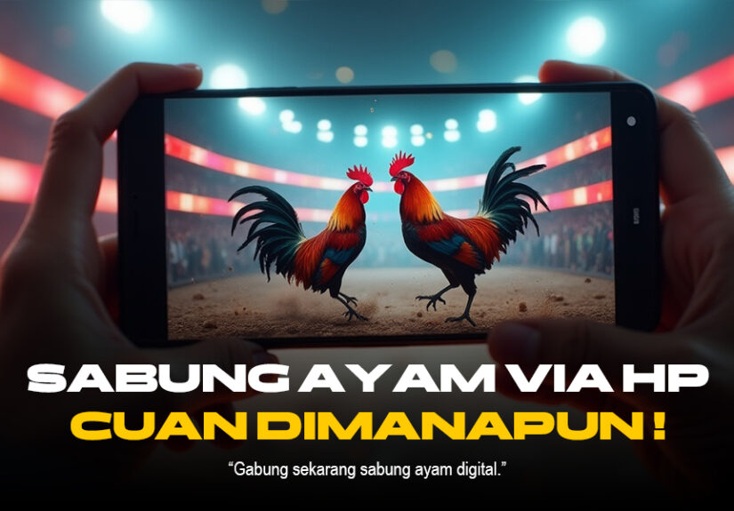 Membedah Dunia Sabung Ayam: Provider, Jenis Ayam, dan Strategi Odds Terbaik