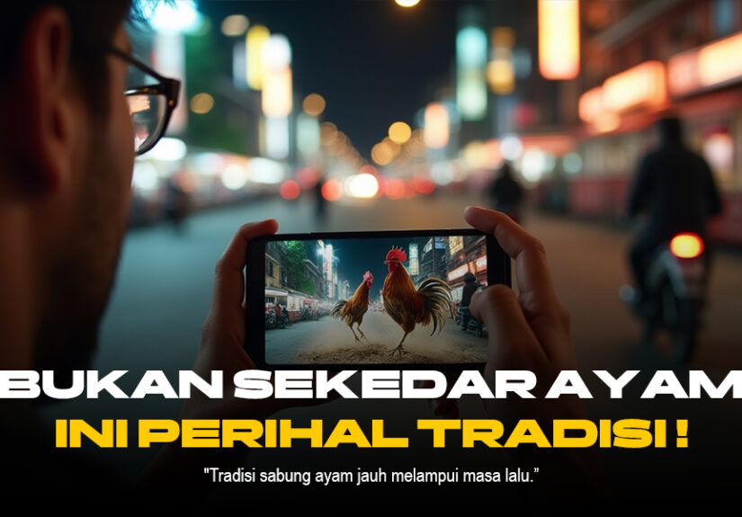 Rahasia Sabung Ayam S128: Jenis Ayam, Odds, dan Provider Terbaik