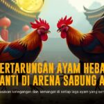 Mengenal Jenis Ayam Bangkok dalam Sabung Ayam Live SV388