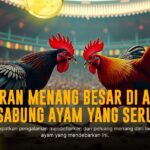Terungkap! Rahasia Kemenangan SABUNG AYAM di Platform SV388