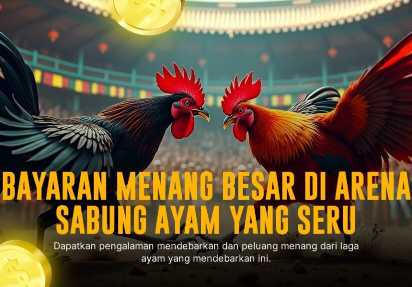 Terungkap! Rahasia Kemenangan SABUNG AYAM di Platform SV388
