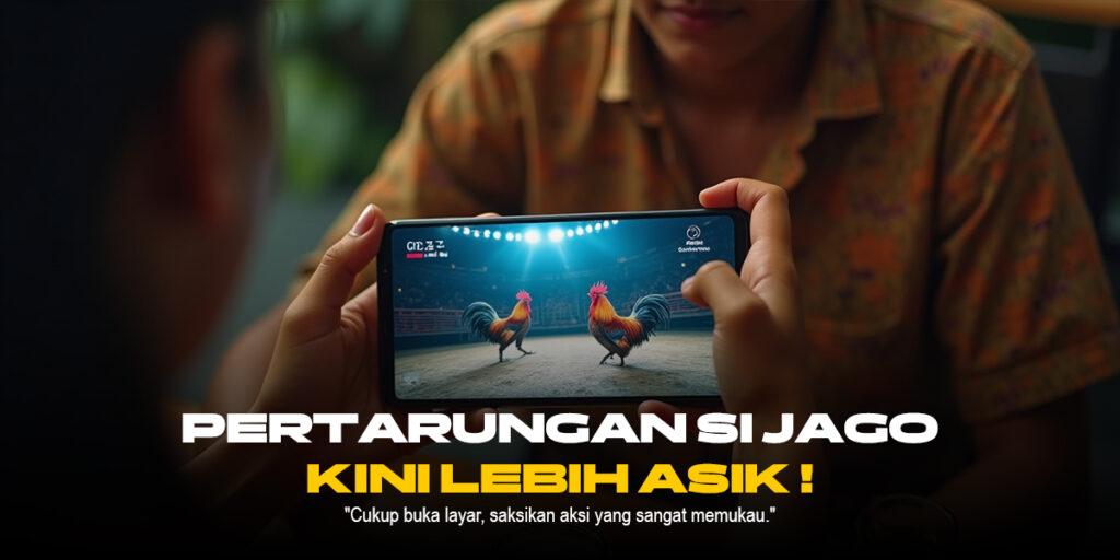 Keunikan Ayam Bangkok di Dunia Sabung Ayam Online