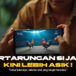 Keunikan Ayam Bangkok di Dunia Sabung Ayam Online