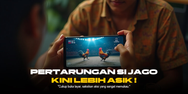 Keunikan Ayam Bangkok di Dunia Sabung Ayam Online