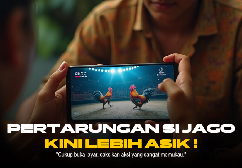 Keunikan Ayam Bangkok di Dunia Sabung Ayam Online