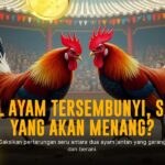 Bongkar Rahasia Ayam Bangkok di SV388: Tips & Odds Terbaik!